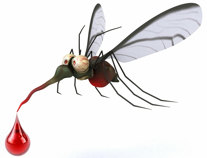 Fun mosquito