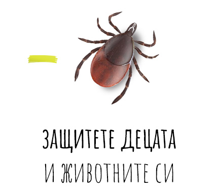 tick-inner-page
