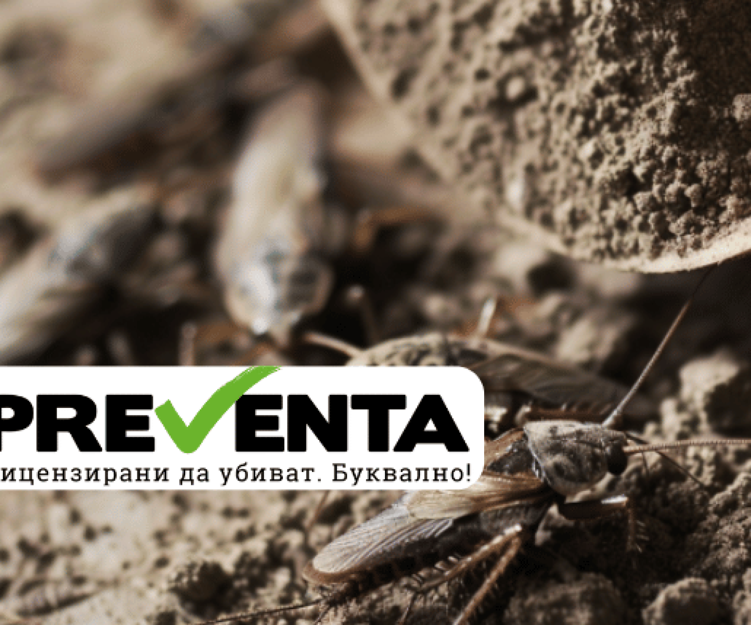 Хлебарките, лунният прах и изкуството на адаптацията