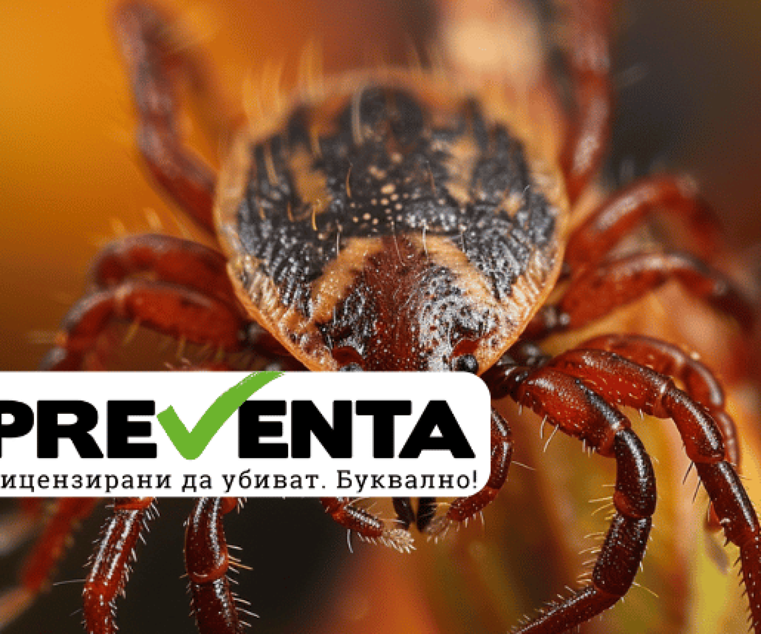 Това ще спаси живота ви! Разберете най-важното за болестите, предавани от кърлежи