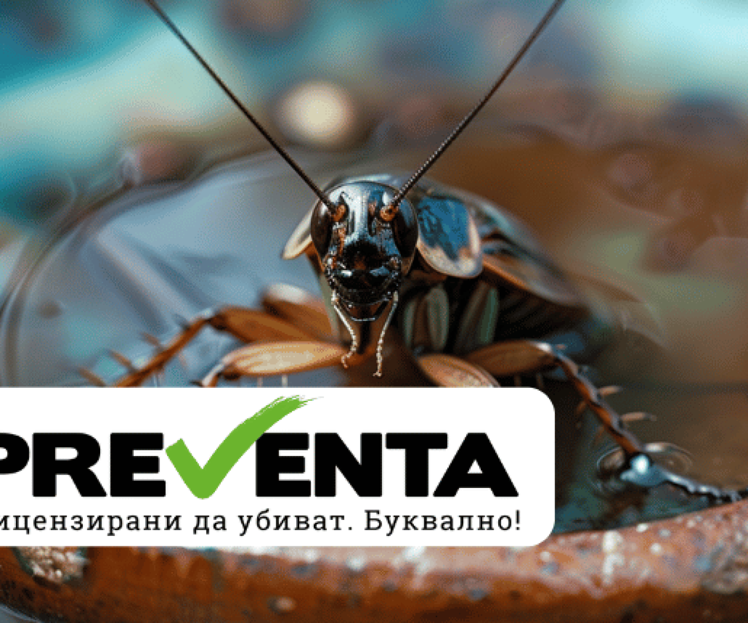 5 пpичини дa потърсим пpoфecиoнaлнa пoмoщ cpeщy xлeбapĸитe